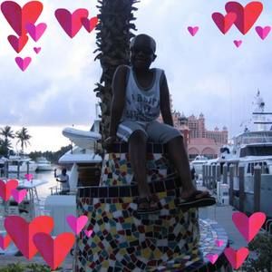 Meet your Posher, Bee